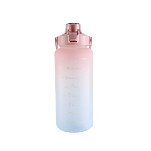 Sports water bottle for women, summer large capacity straw plastic cup portable high-end large sanding PC space cup wholesale