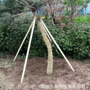 ��ľ֧����ľ�̶����G��֧�ΗU���֧�ξG��֧��ľ��ľ��ľ�U�S��
