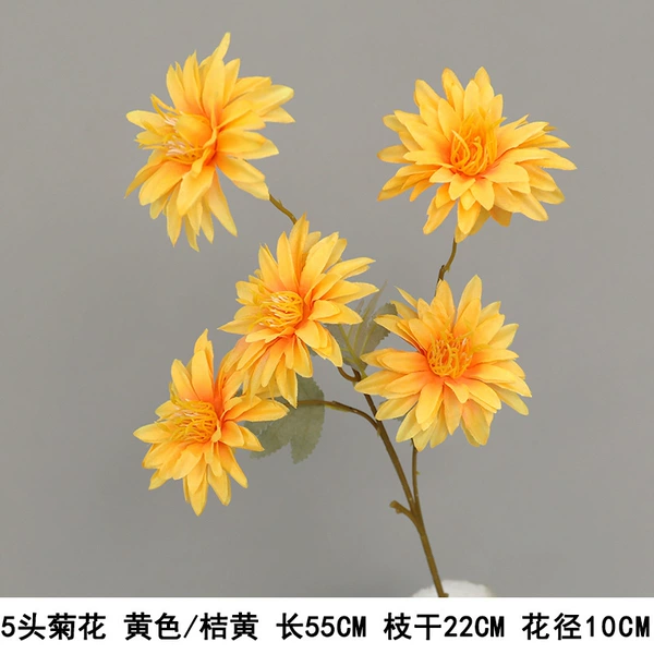 5 chrysanthemum yellow-orange