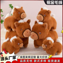 �ɐ۰��_�Rë�q��߹��жն��Rץ�C�����ͺ���С���R��ͯ���Y��