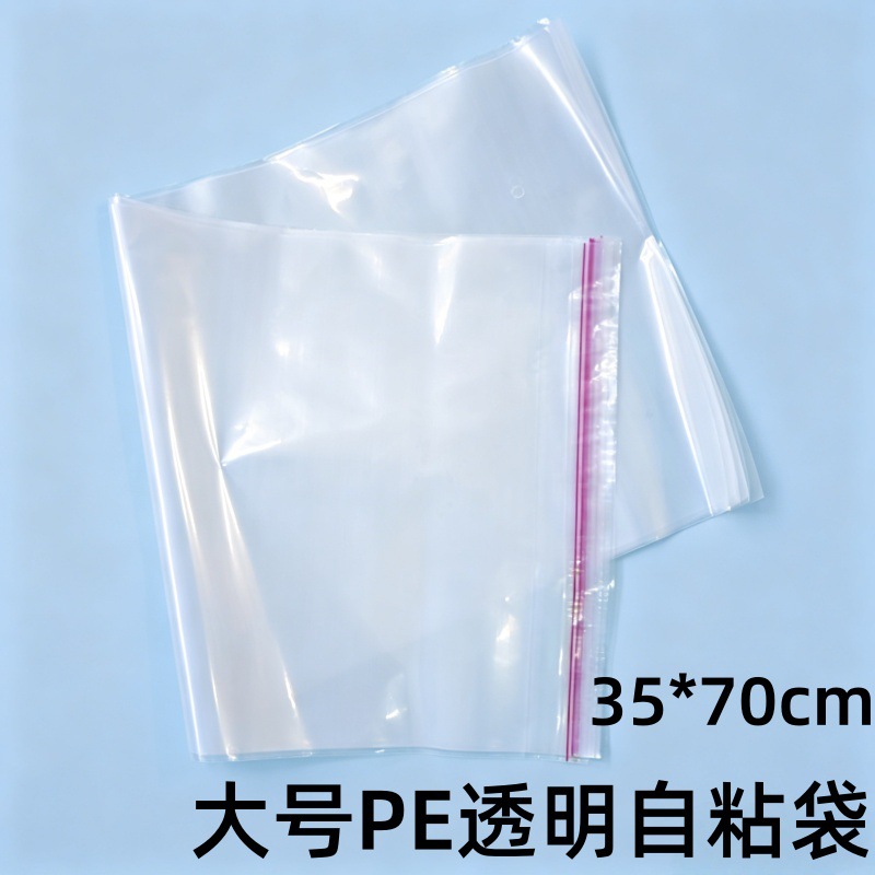 主1
