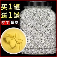 龙须莓茶张家界野生 湖南湘西土特产 张家界莓茶嫩芽藤茶霉茶