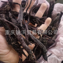 1����ɢ�b���l��Ʒ �ϲݸ��½��ϲ�,�ϵ�,���b,��Ѫ,�ϲ���,�f�