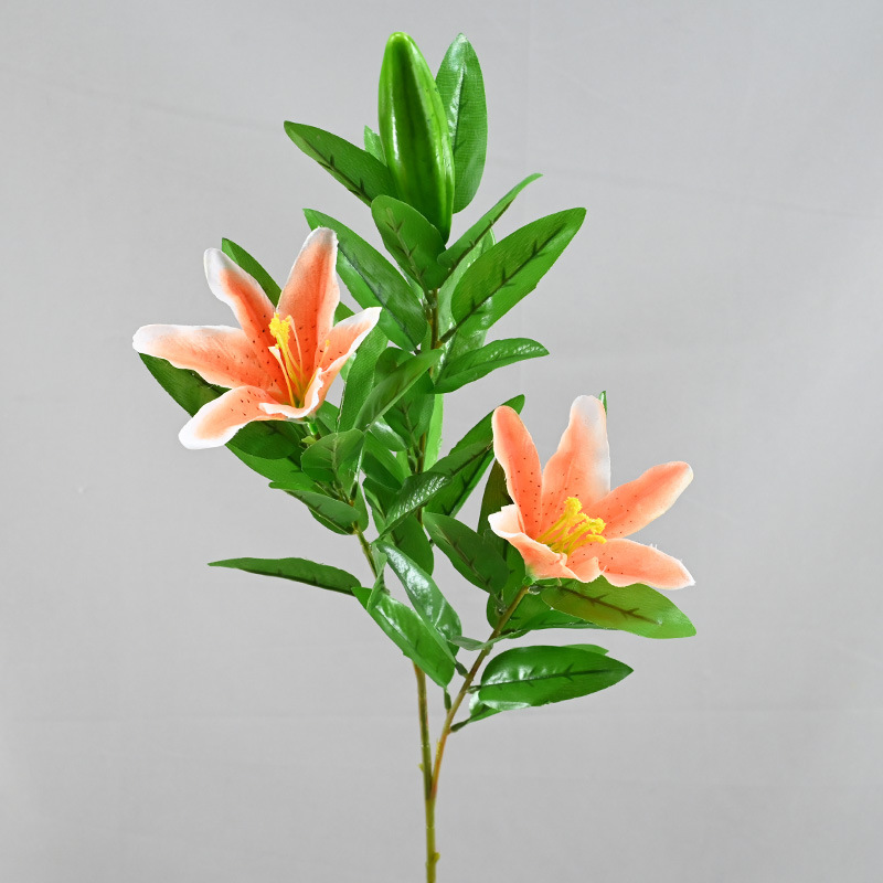 주황색