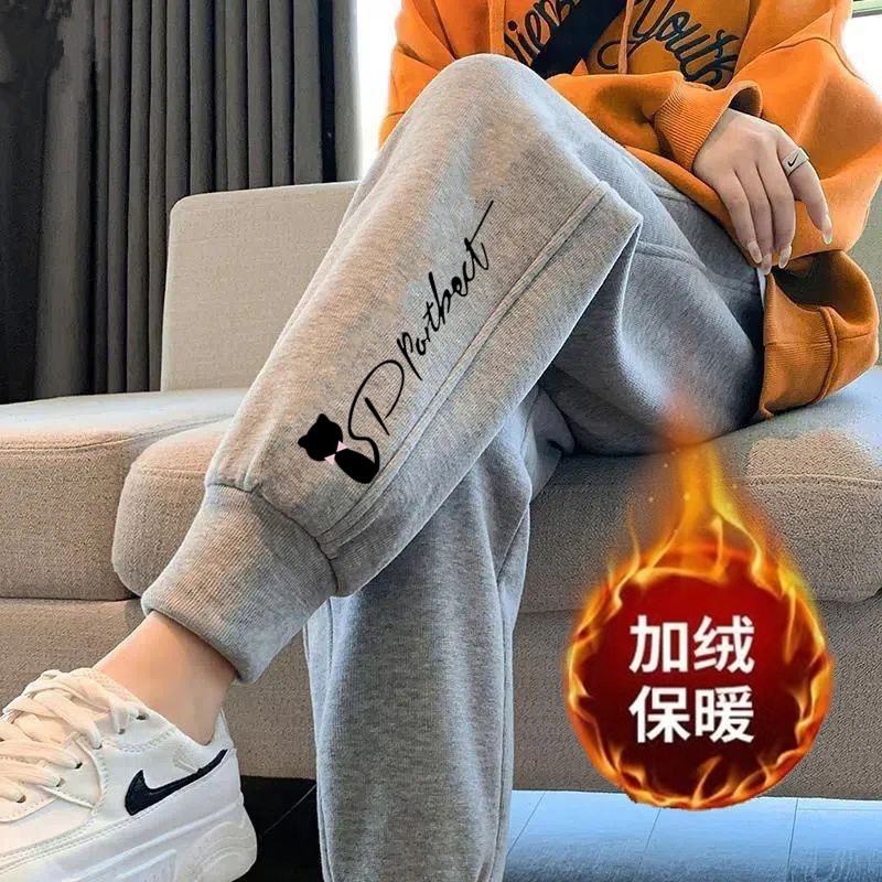 작은 검은 고양이 나사 입 회색 바지와 벨벳