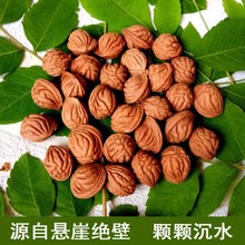 龙纹山桃核桃胡野生原籽疙瘩龙金鱼肚龙纹桃核密脑纹手串原料
