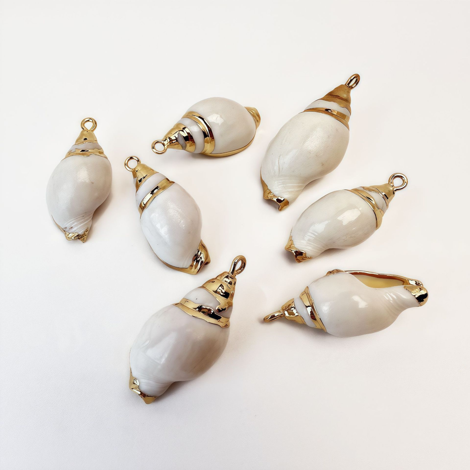 흰달팽이 46마리