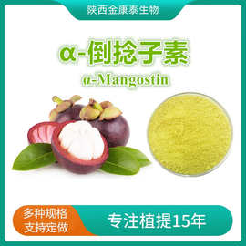 α-倒捻子素90%山竹果提取物6147-11-1a-Mangostin 10g起售