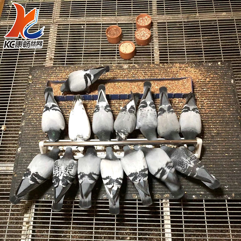 231f6170989e9e8b259393e2d6383f