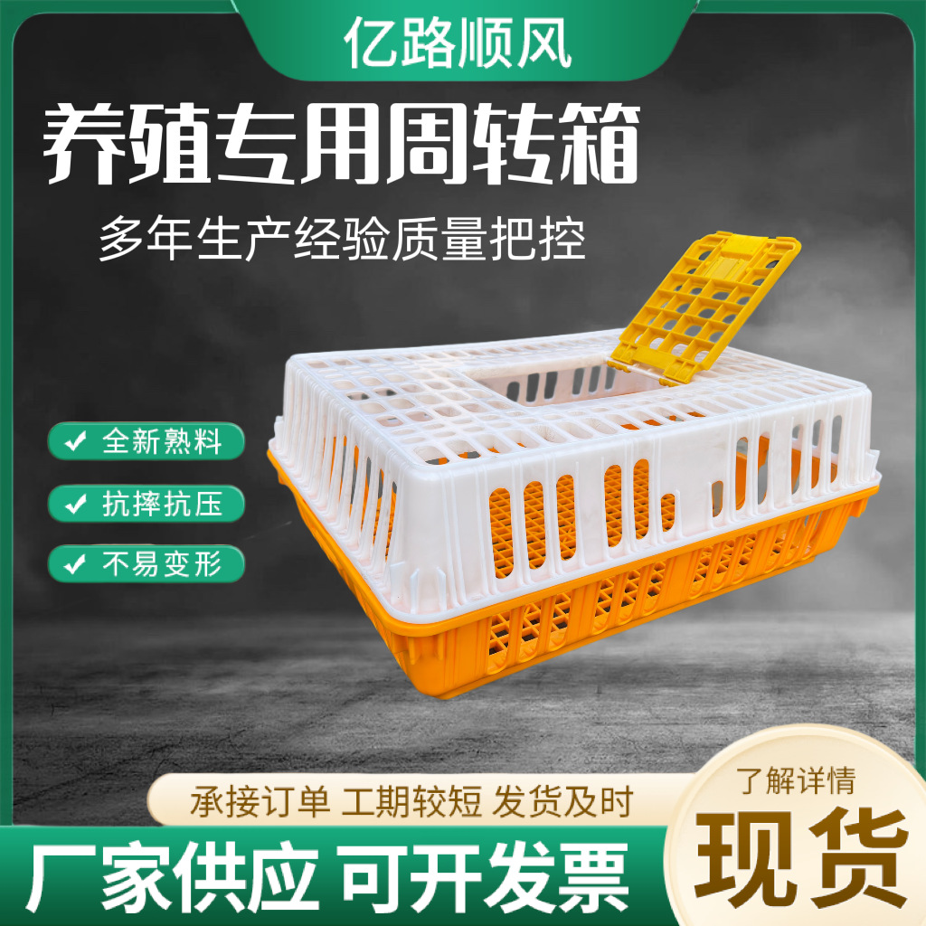 Los fabricantes suministran jaulas de plástico para pollos gruesos, pollos, patos, gansos, palomas y conejos.