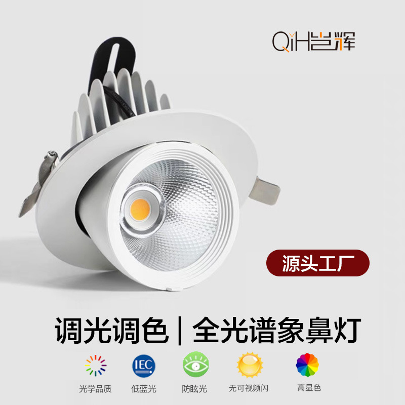 Fuente fábrica ángulo ajustable lámpara de nariz de elefante techo led incrustado Xiaoai luz de foco antideslumbrante de lavado de pared de espectro completo