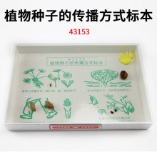 ֲ�����Ӵ�����ʽ�걾 J43153 Сѧ��ѧ ����ʵ������ ��ѧ����