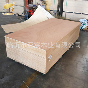 ���|�ĊW�����z�ϰ�3����-25���׼Ҿߺ��촬��