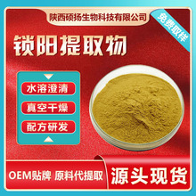 锁阳提取物水溶性锁阳粉锁阳生物碱大量现货工厂直发可寄样