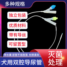 犬用双腔导尿管一次性宠物兽用猫咪硅胶导尿管带导丝气囊可留置