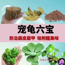 �����׾Gֲ���B���쾰ˮ���B����Ʒ���ӕ�̨����ˮ�|����ֲ��