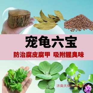 �����׾Gֲ���B���쾰ˮ���B����Ʒ���ӕ�̨����ˮ�|����ֲ��