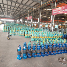 �V�÷�����ɳ�� BQS100-180/6-100/B��ʽ�x��ˮ�� 660v 1140v