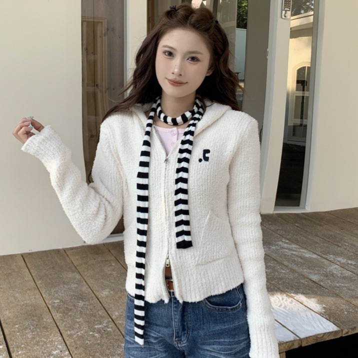 New Rr Teddy Velvet Double Zipper Cardigan Korean Niche Fashion Easiest for Match Casual Lazy Style Hooded Sweater for Women