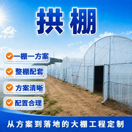 温室、大棚;镀锌管;异型管