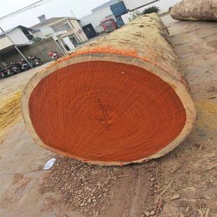 ���Ҹ��M�ڼt���� �t����ԭľ �t�����ļtľ�Ҿ��� �t������