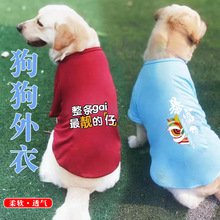 �ļ����䱡����·���ë������������Ȯ����Ȯ����͸�ⱳ�Ķ���