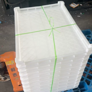 1号单冻器 冷冻盘塑料筐长方形筛子食品级冷库神器晾晒浅筐