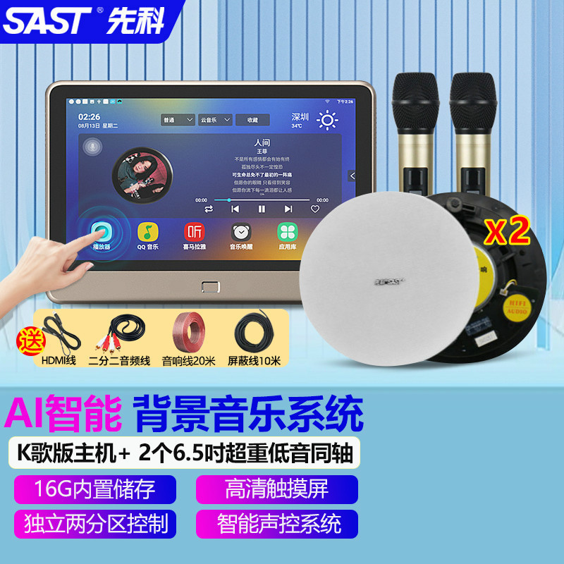 SAST background music system suit intelligent voice singing home living room ceiling audio ceiling