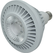 PAR30cob��Դ25W��Դp30ledP3830W��װ���̳��Ƶ�ר�õƾ߹�Դ