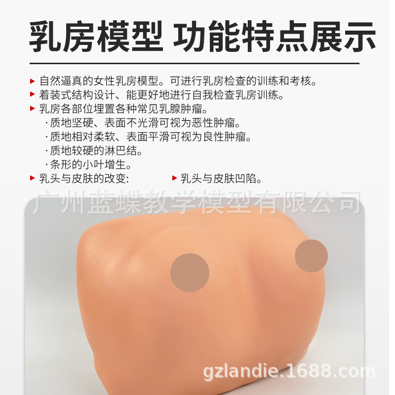 ����ʽ�鷿ѵ�����ģ�� Ů���鷿����ʾ��ʵ�� �Լ커��ģ�߼���