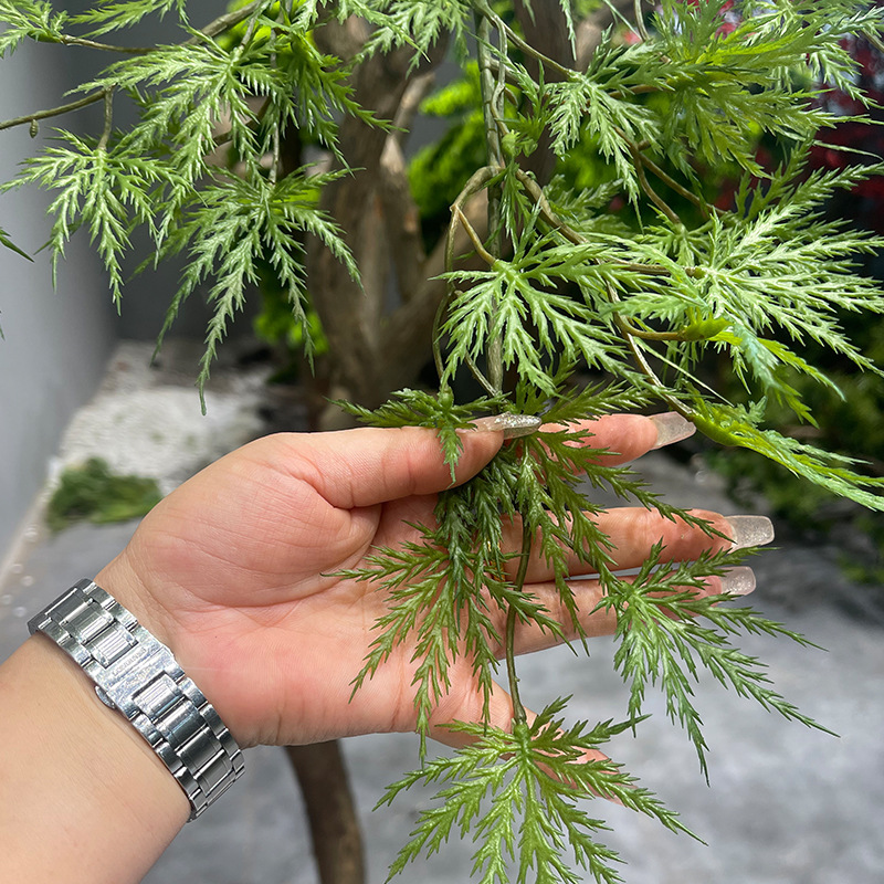 仿真羽毛枫叶树马醉木室内假树绿植造景橱窗装饰造景大型橱窗植物|undefined
