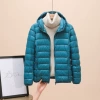 Lake blue (hood)
