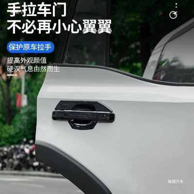 door bowl protective frame, new Prado Portal Wrist