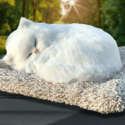 Aktiv kömürlü qoxu uducular Decoration - large-white-cat