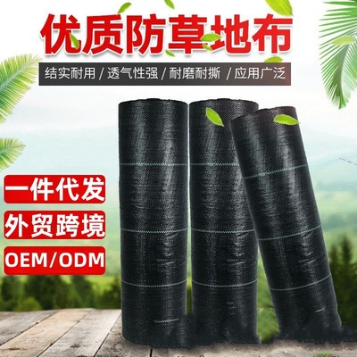 跨境pp防草布抗老化加厚保湿透气果园黑色盖草布农业园艺除草地布
