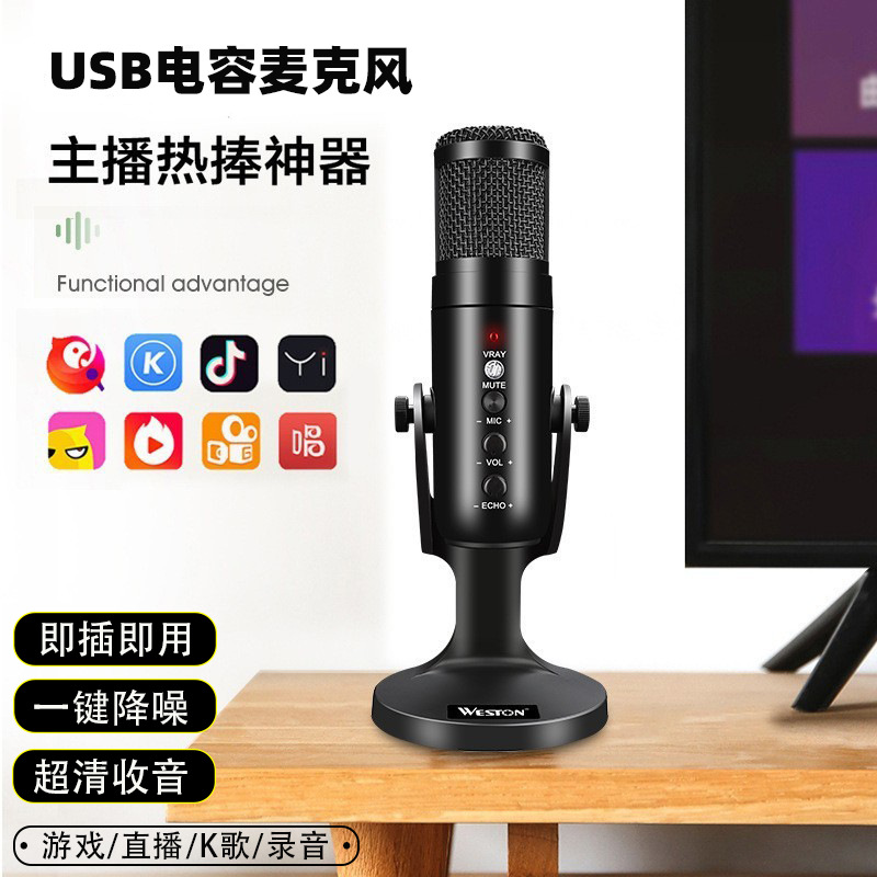 Source Manufacturer USB Condenser Microphone Computer Game E-Sports Voice Noise Reduction Mobile Phone Recording Live Broadcast Microphone