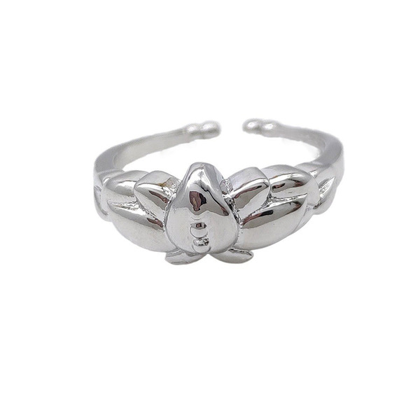 The ruined Flillian ring The Flillian ring The Flillian ring The…