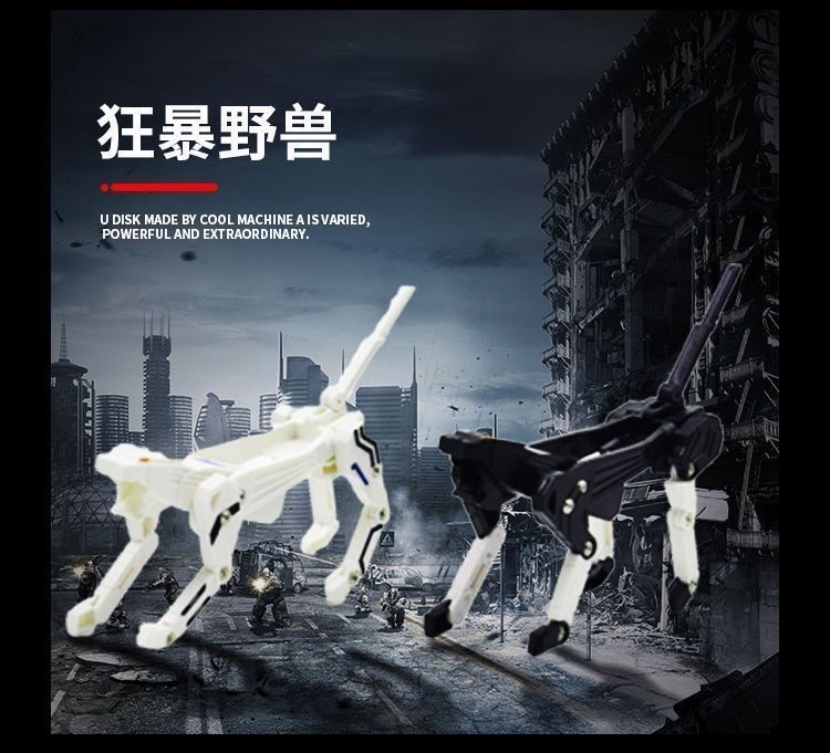 IMG_6922(20241228-180608)