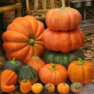 �Ϲ�ģ���f�}������b�ƷУ�@���ߙ���չʾ�zӰ���߲�С�ϹϏS��