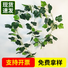 ���l����Gֲ�廨��� �c�Yֲ��b������~ �����ٗl����G�}�~