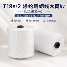 T19s/2��]�p�x����Ͳ�� 192������ Ⱦɫ�����ƾ��ü�