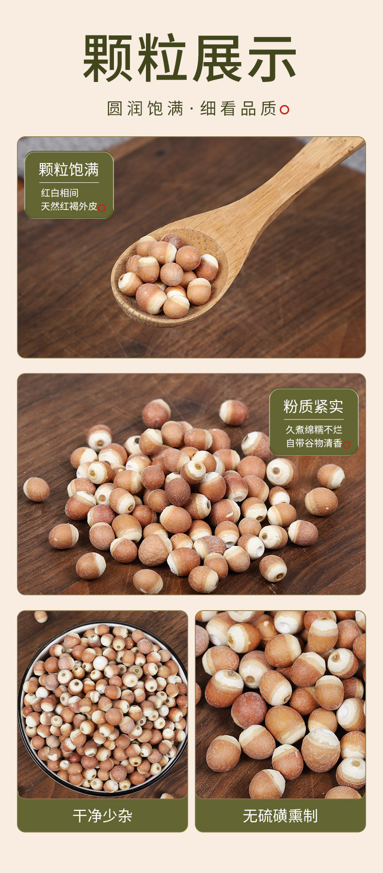 9mm Dried Gorgon Fruit Qian Shi Euryale Ferox Seeds 250g for Congee and Soup quality and texture
