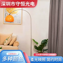 吊灯;落地灯;吸顶灯