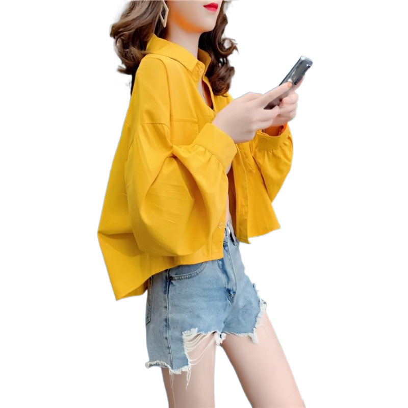 긴 소매 셔츠 코트 여성의 봄과 가을 얇은 2024 새로운 디자인 감각 틈새 작은 높은 허리 짧은 탑