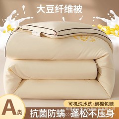 A类大豆纤维加厚冬被四季通用春秋被太空丝棉被芯秋冬天保暖被子