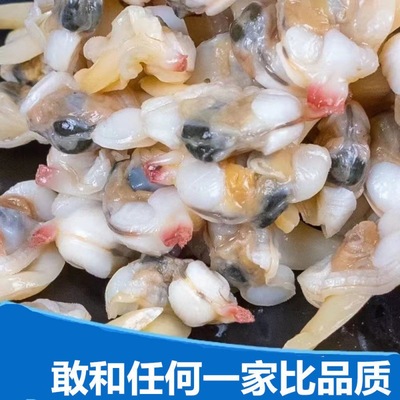 fresh Clams Huangxianzi Flower armor Gala Harry Venerupis philippinarum Clams jerky Seafood