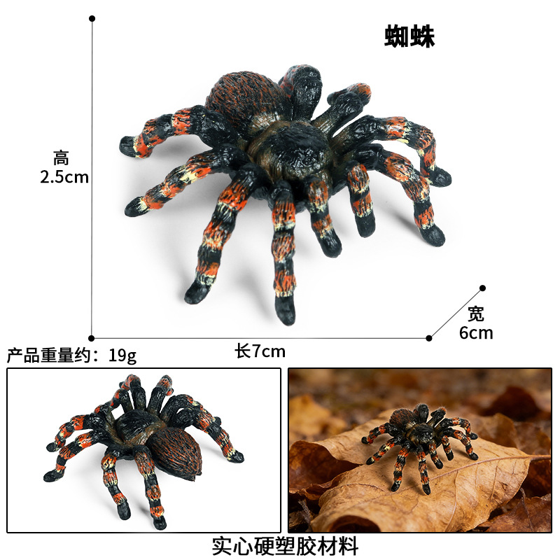 1616 araña