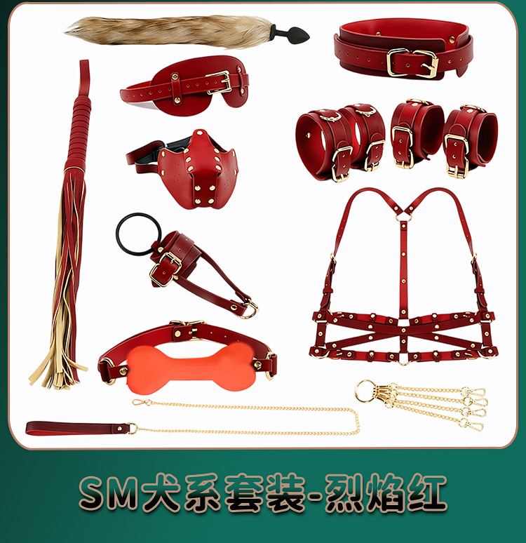 SM Couple Interaction Set with Gag Ball, Handcuffs and Flirtation Props — detail image 42
