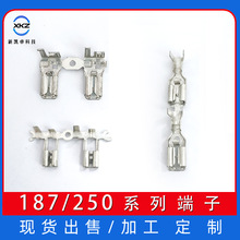 旗型端子6.3直插带锁4.8连续端子黄铜铜镀锡250假旗型187接线端子