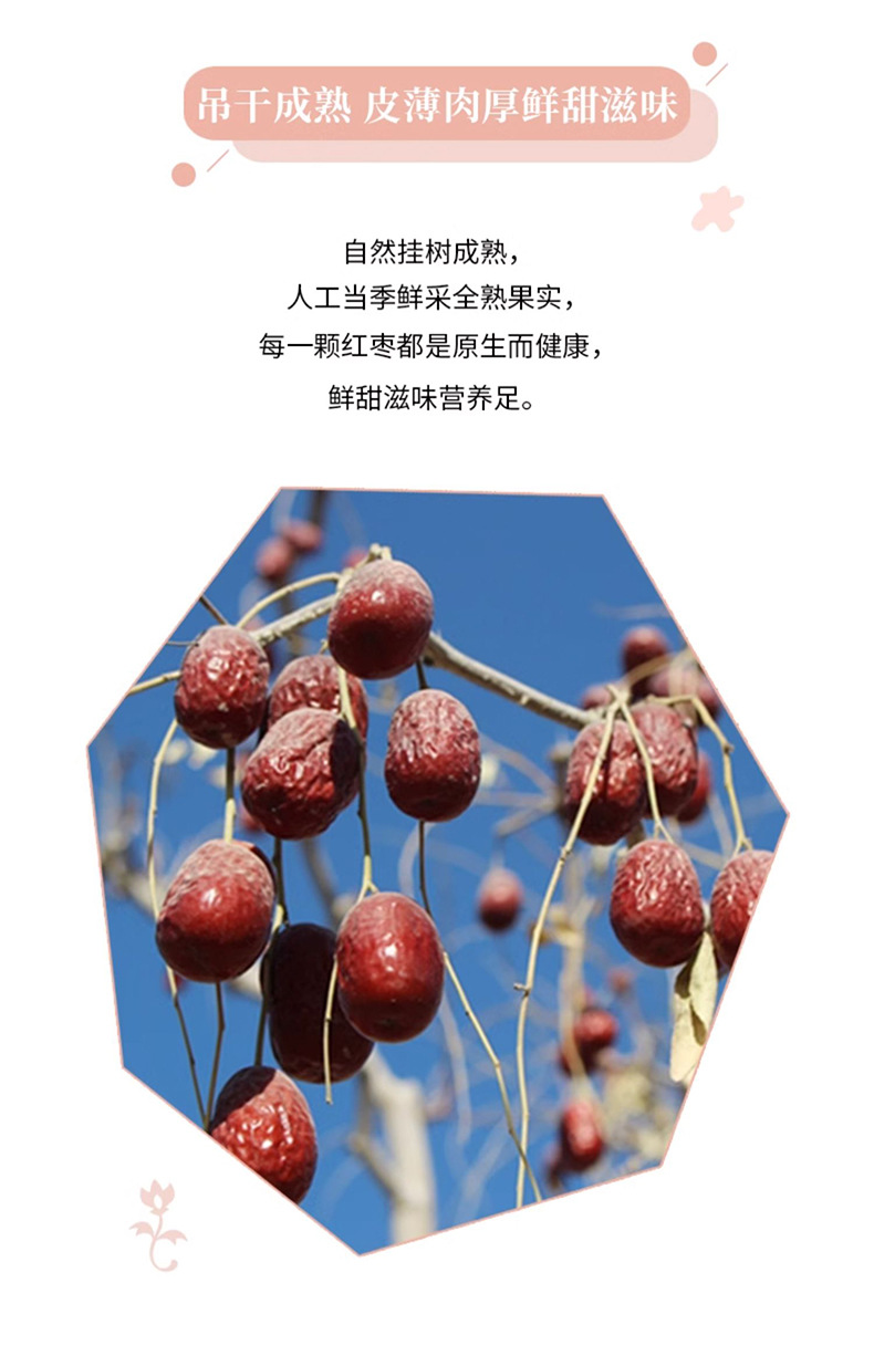 Dried Red Date Slices Seedless Hong Zao 500g Xinjiang Jujube Herbal Fruit Tea Bulk quality and texture
